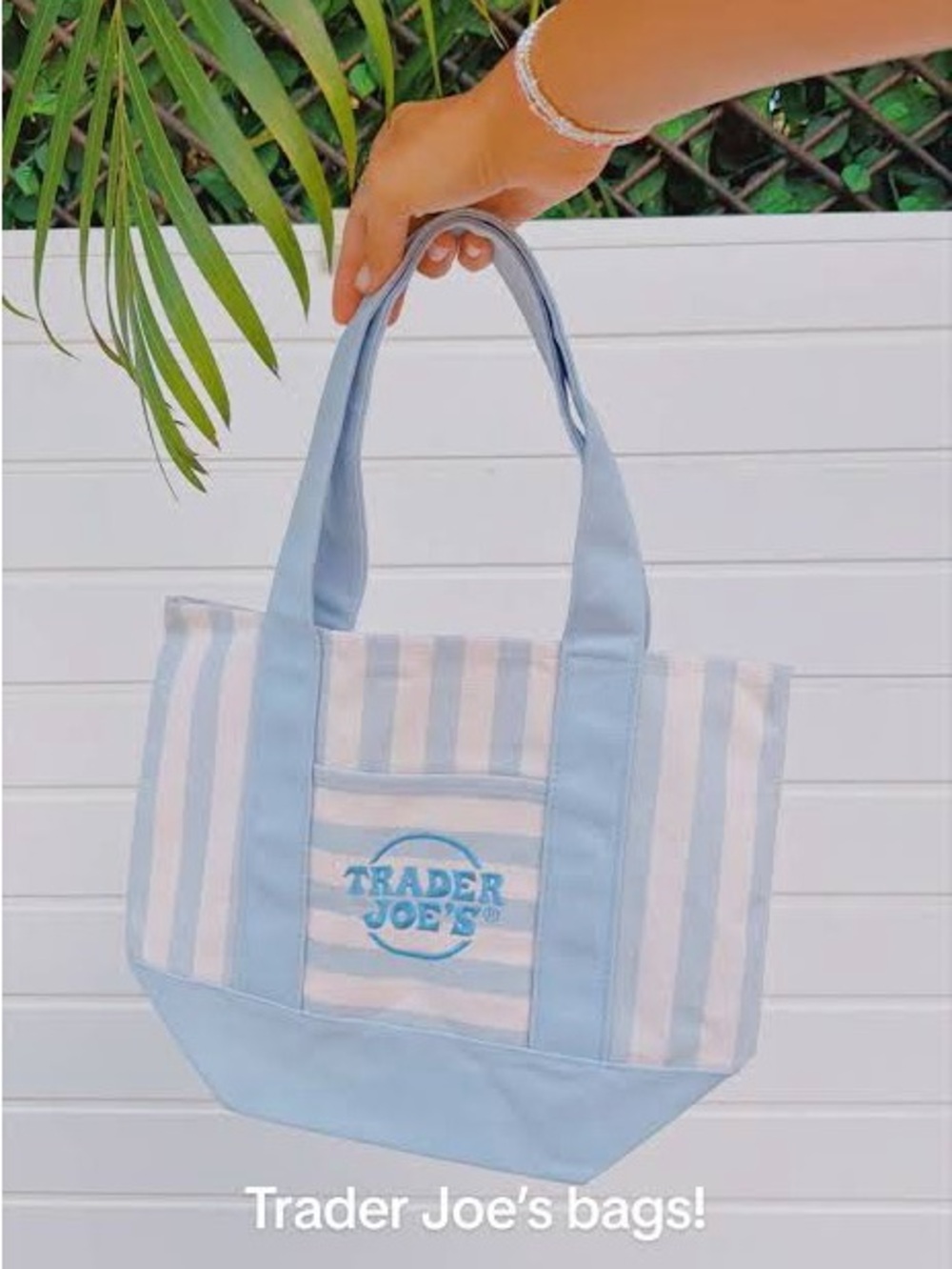 NWT Trader Joe’s Mini Striped Tote Bag Light Blue